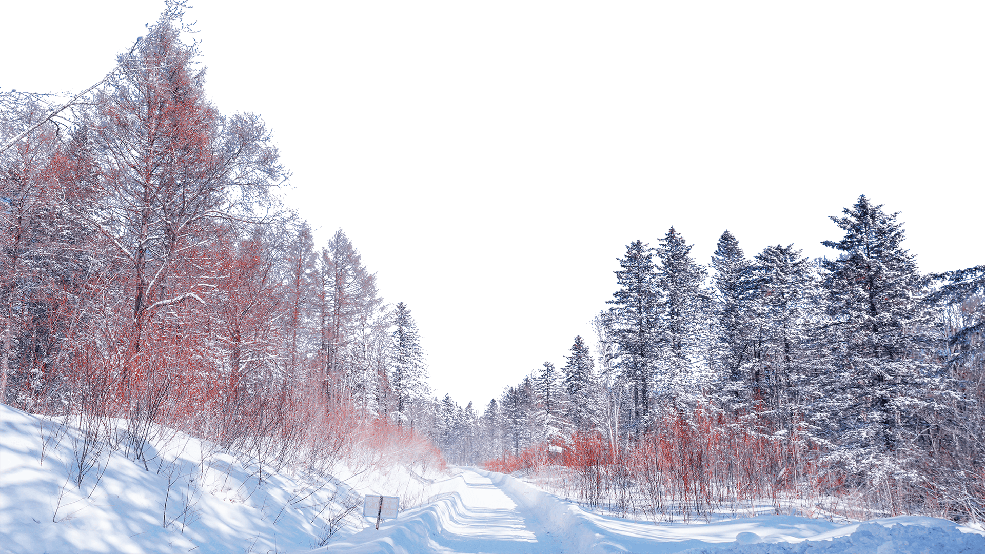 Northeastern China